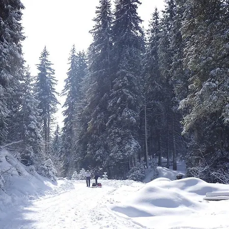 Gerda Wellness Appartement *