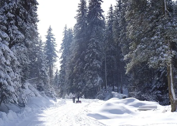 Gerda Wellness Apartament *